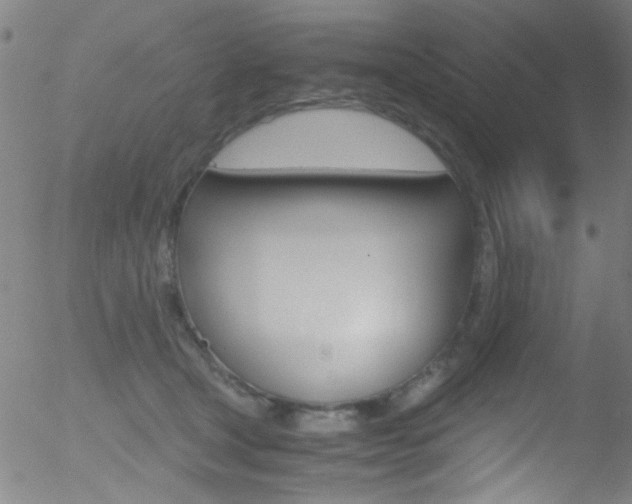 X0000052610465200507010943