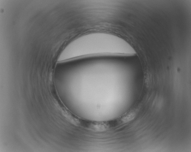 X0000052610466200507010943