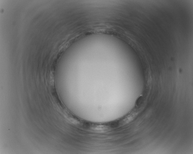 X0000052610467200507010943