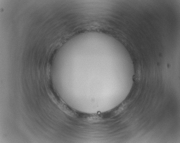 X0000052610468200507010943