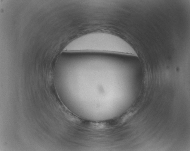 X0000052610469200507010943