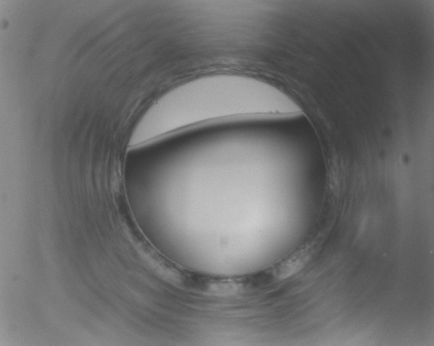 X0000052610470200507010943