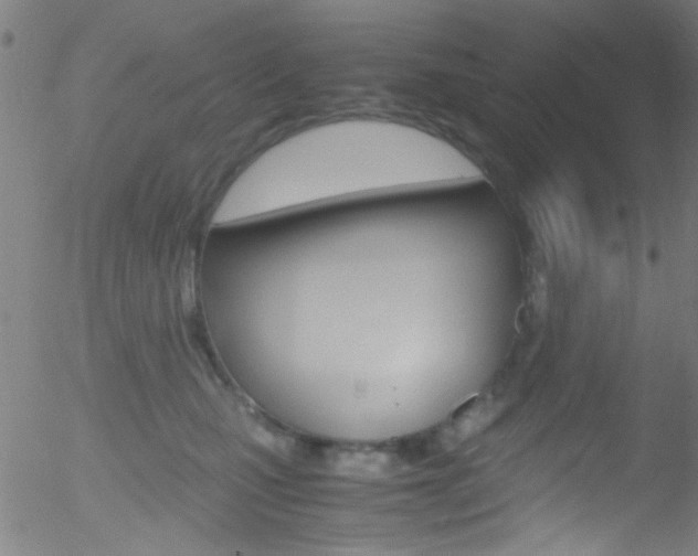 X0000052610471200507010943