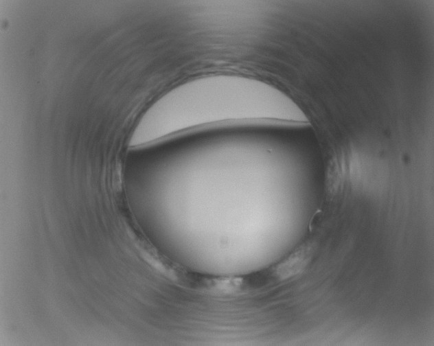 X0000052610474200507010943