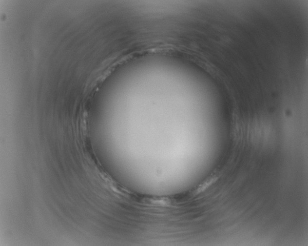 X0000052610475200507010943