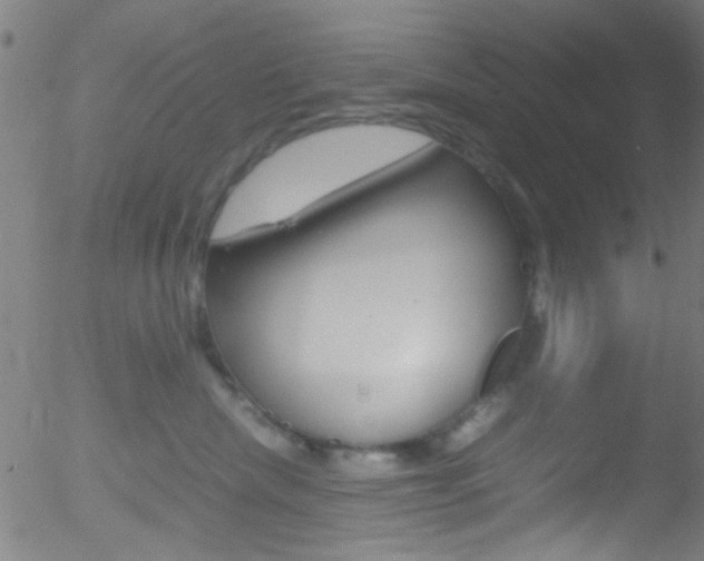 X0000052610476200507010943