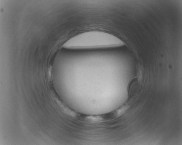 X0000052610477200507010943