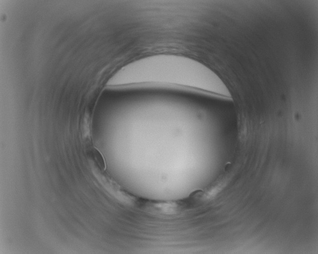 X0000052610478200507010943