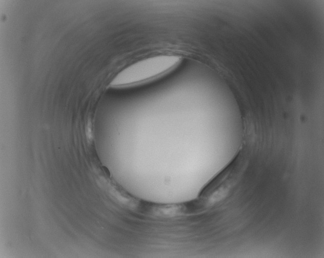 X0000052610479200507010943