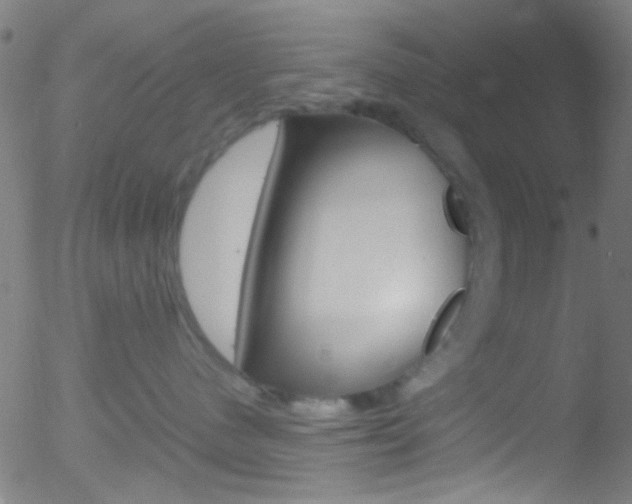 X0000052610480200507010943