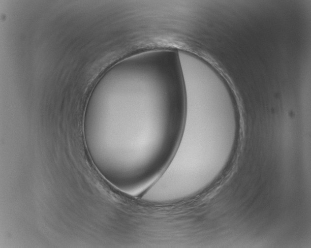 X0000052610481200507010943