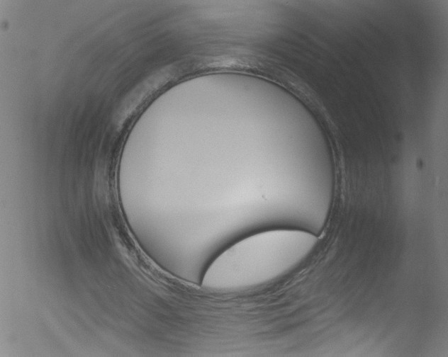 X0000052610482200507010943