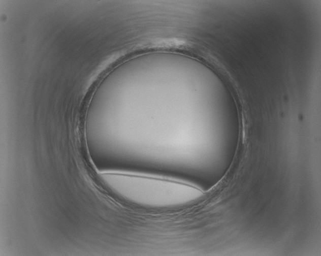 X0000052610483200507010943