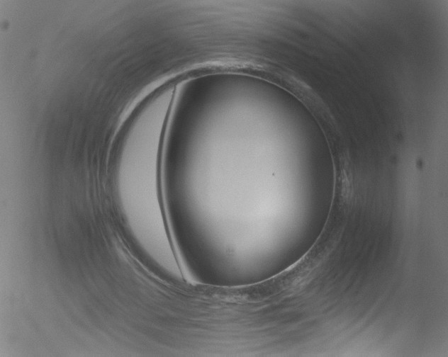 X0000052610484200507010943