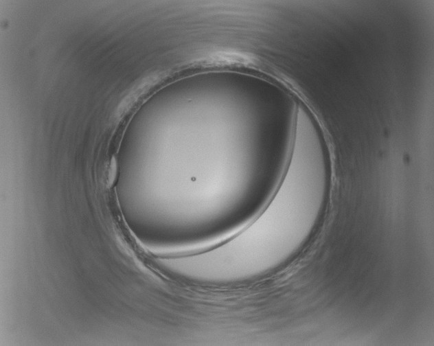 X0000052610485200507010943