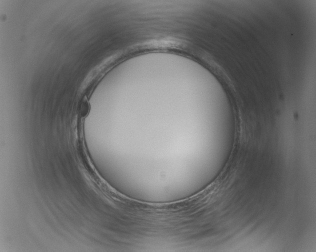 X0000052610486200507010943