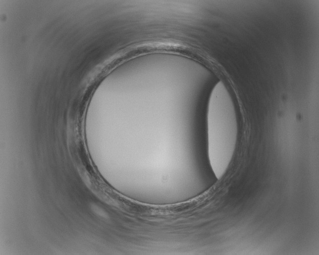 X0000052610487200507010943