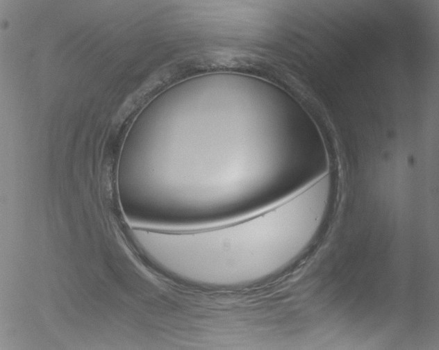 X0000052610489200507010942