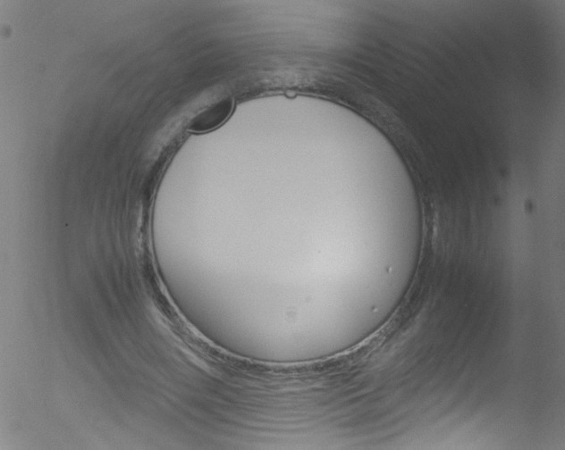 X0000052610490200507010942