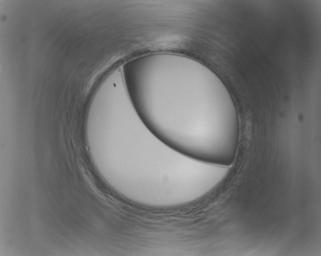 X0000052610491200507010942