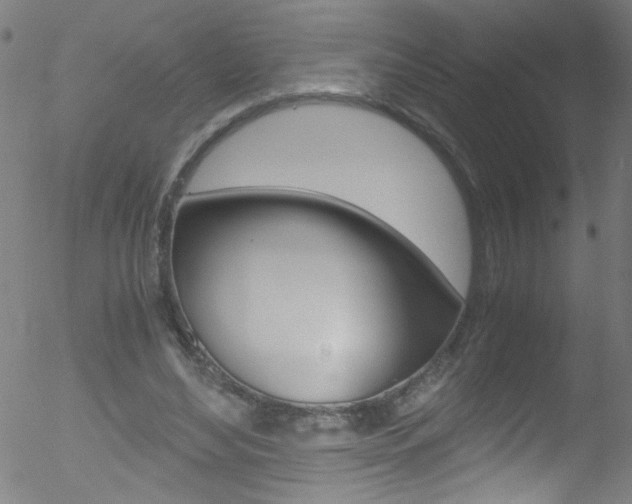 X0000052610492200507010942