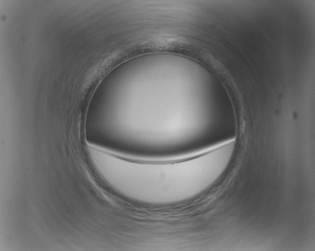 X0000052610493200507010942