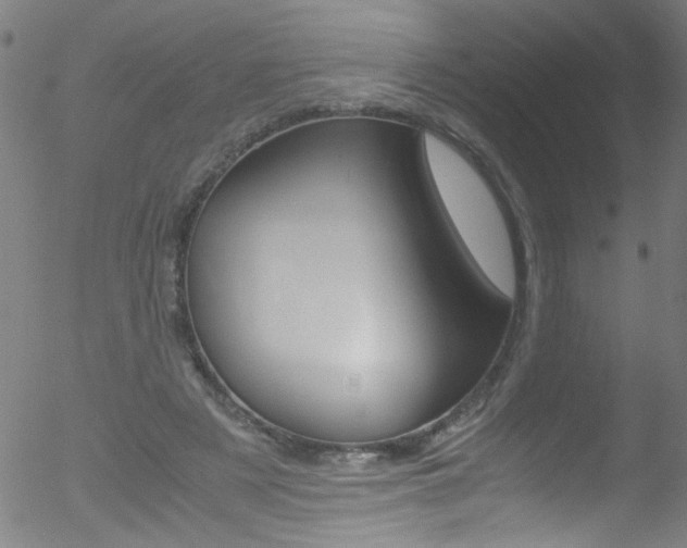 X0000052610497200507010942