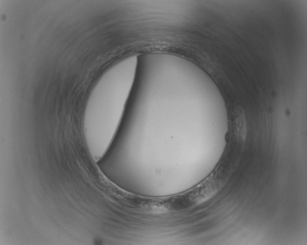 X0000052610498200507010942