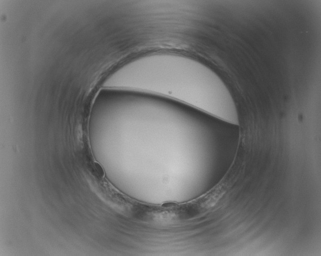 X0000052610500200507010942