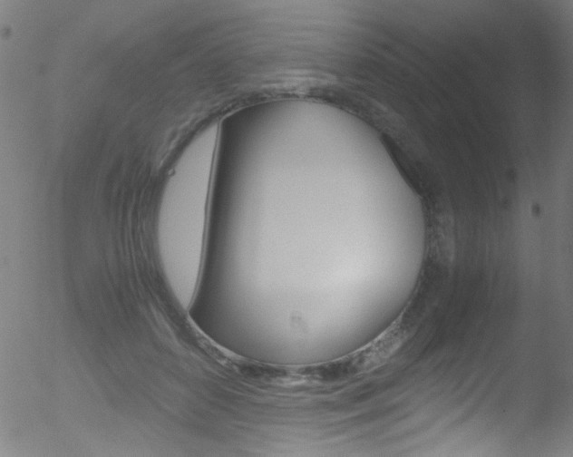 X0000052610504200507010942