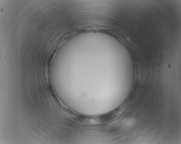 X0000052610506200507010942