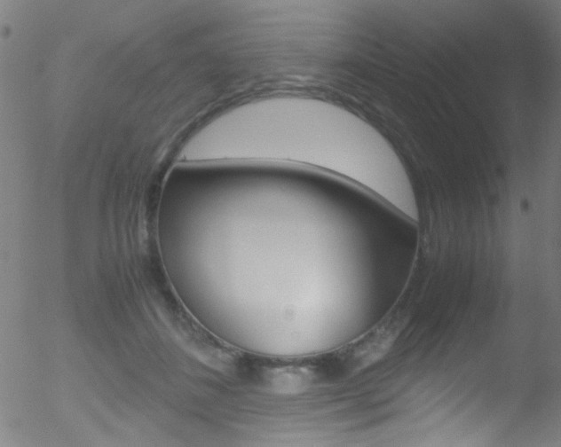 X0000052610508200507010942