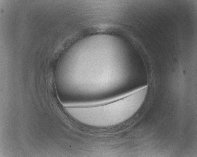 X0000052610509200507010942