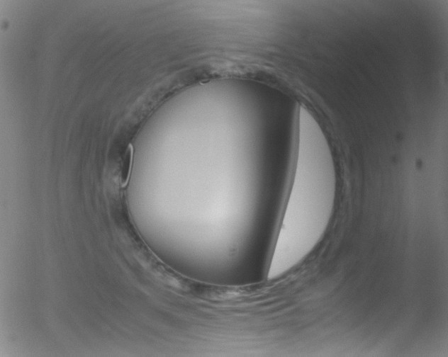 X0000052610513200507010942