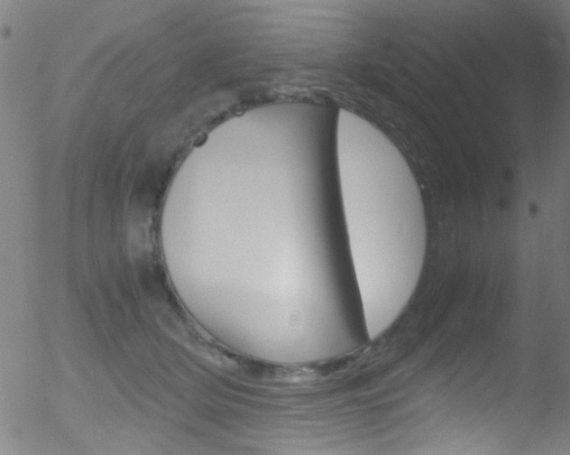 X0000052610514200507010942