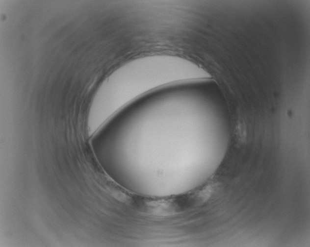 X0000052610516200507010942