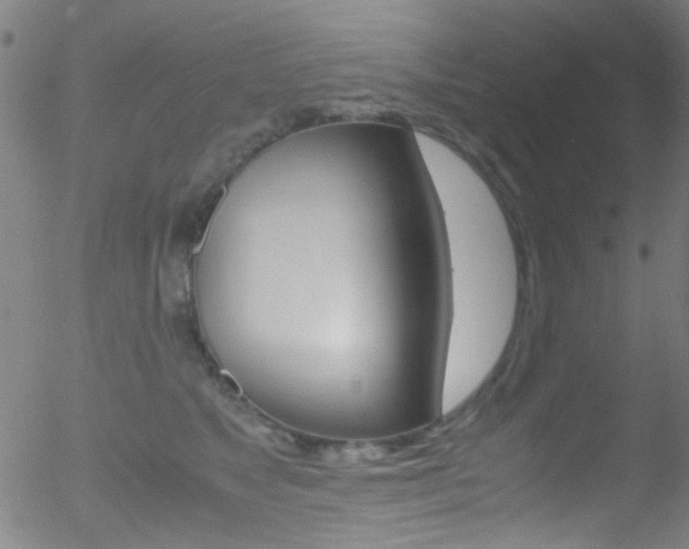 X0000052610517200507010942