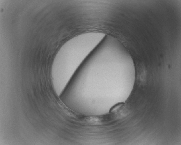 X0000052610518200507010942