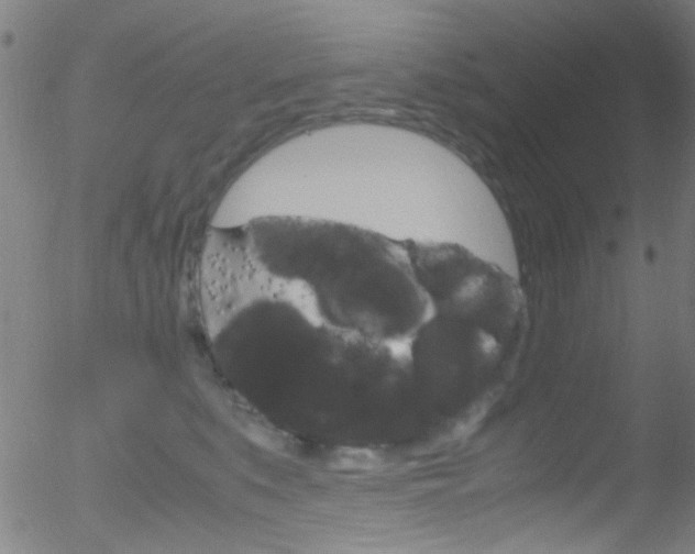 X0000052610519200507010942