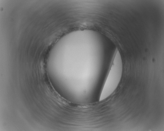 X0000052610520200507010942