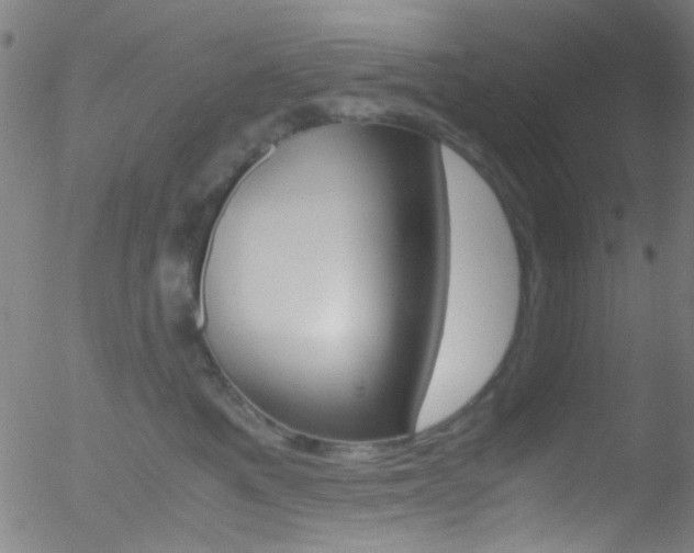 X0000052610521200507010942