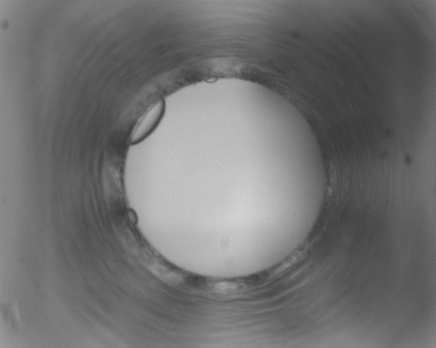 X0000052610522200507010942