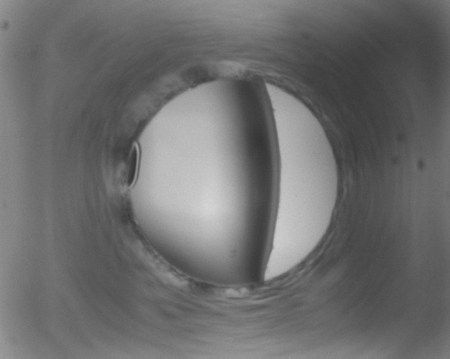 X0000052610525200507010942