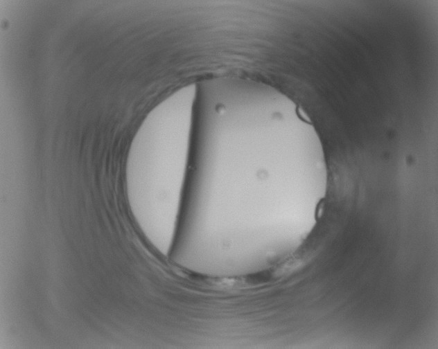 X0000052610527200507010942