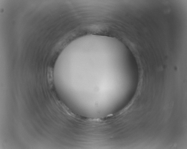 X0000052610528200507010942