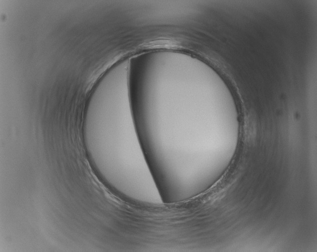 X0000052610529200507010941