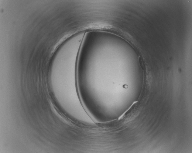 X0000052610530200507010941