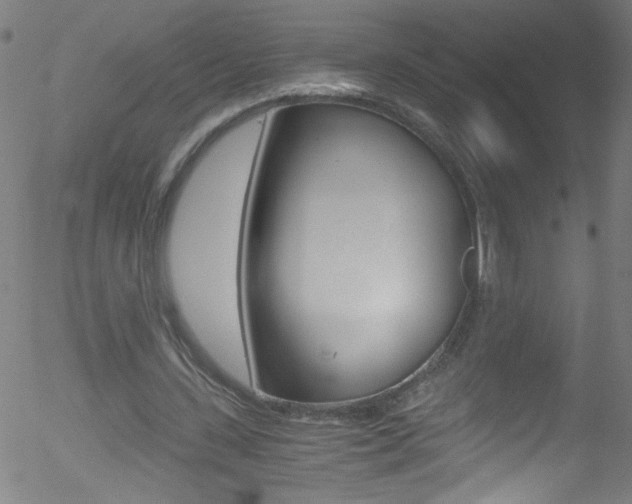 X0000052610531200507010941