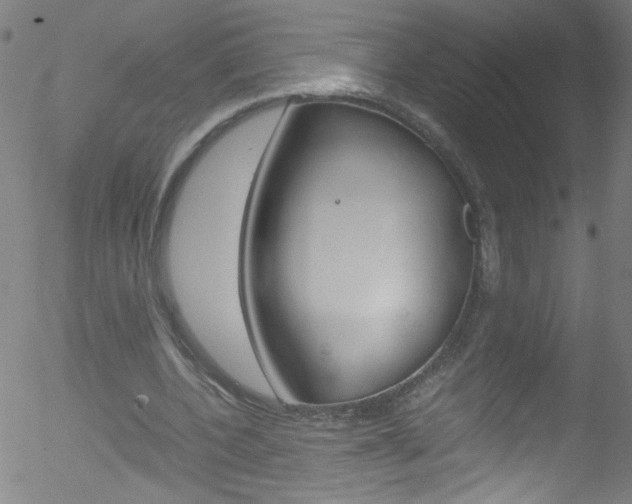 X0000052610532200507010941