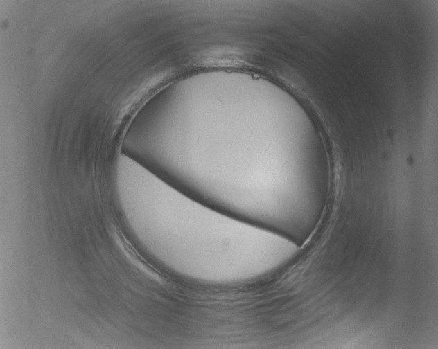 X0000052610533200507010941